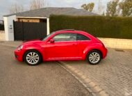 VOLKSWAGEN Beetle Design