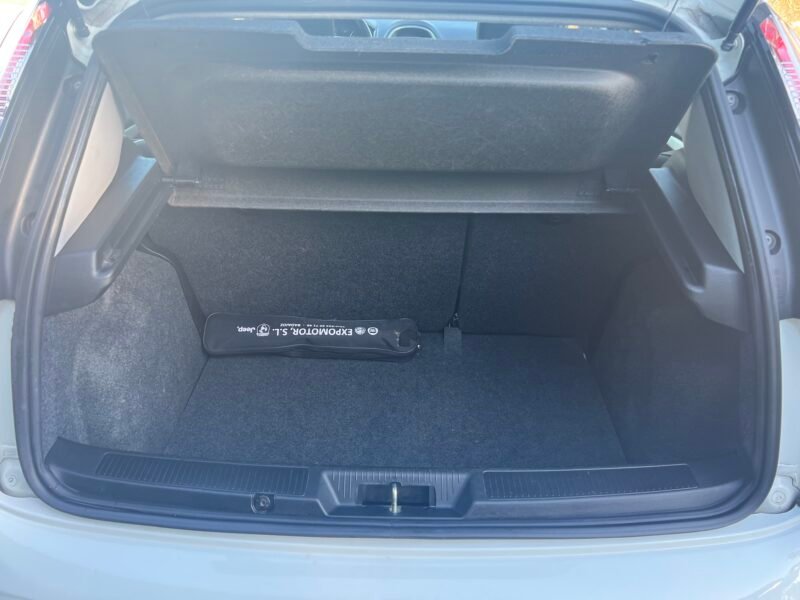 FIAT PUNTO 1.3 JTD 75 Cv MULTIJET