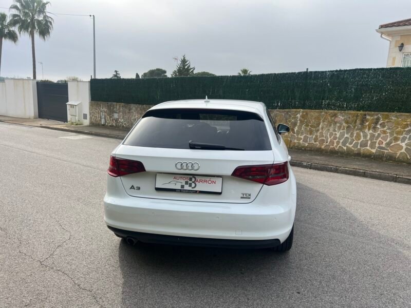 AUDI A3 1.6 tdi 110 cv SPORTBACK Advance Advance