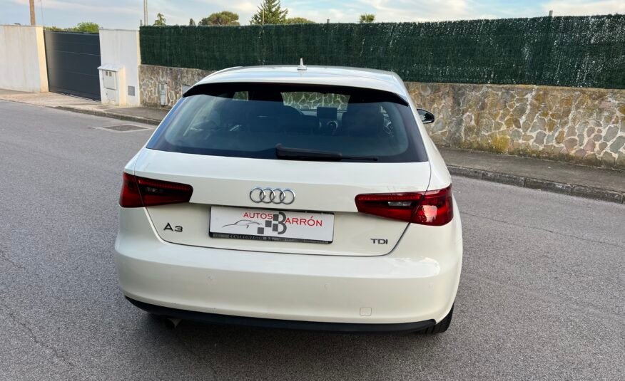 AUDI A3 1.6 Tdi 105 cv Attraction Attraction
