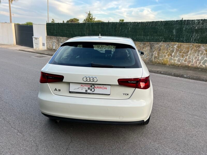 AUDI A3 1.6 Tdi 105 cv Attraction Attraction