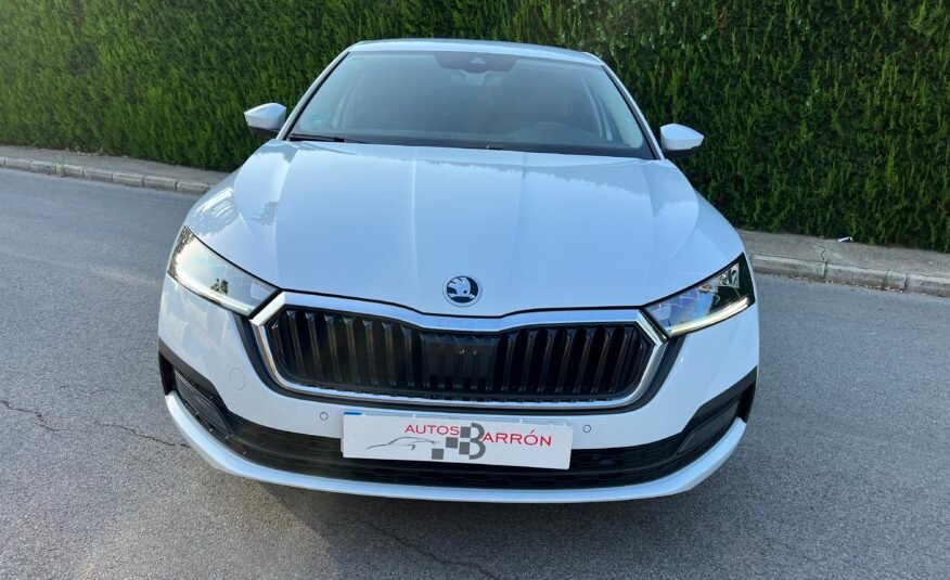 SKODA Octavia 2.0 Tdi 115 cv DSG AMBITION