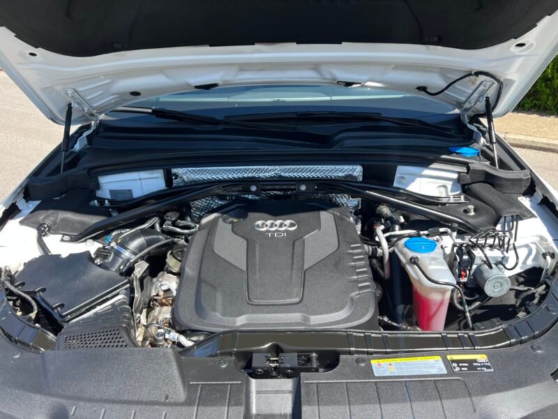 AUDI Q5 2.0 Tdi 150 ADVANCED ULTA