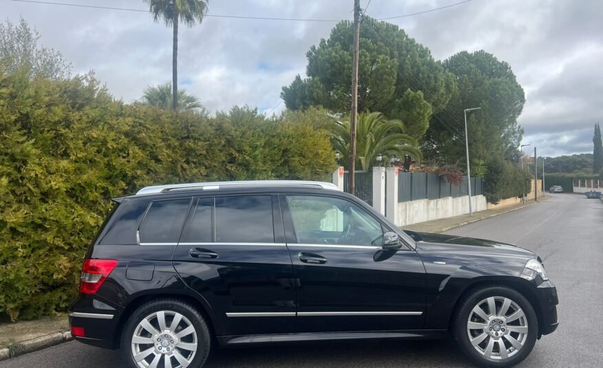 MERCEDES-BENZ GLK 220 Cdi 4 MATIC Blue efficiency