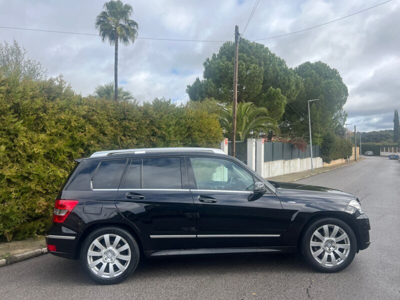 MERCEDES-BENZ GLK 220 Cdi 4 MATIC Blue efficiency