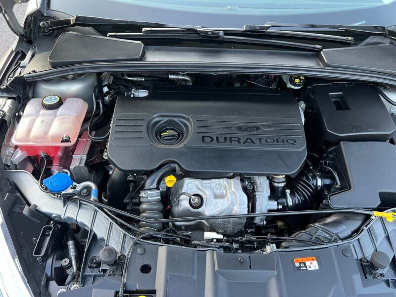 FORD Focus 1.5 Tdci 95 CV TREND