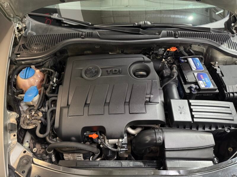 SKODA OCTAVIA 1.6 TDI 105 cv Collection